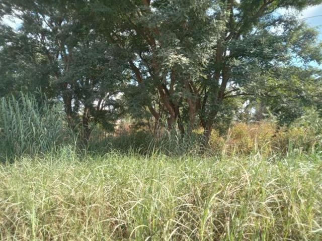 Property for sale in Limpopo