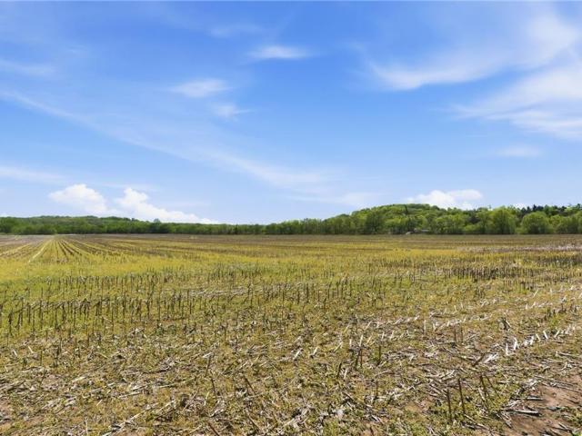 Land for sale in Kansas