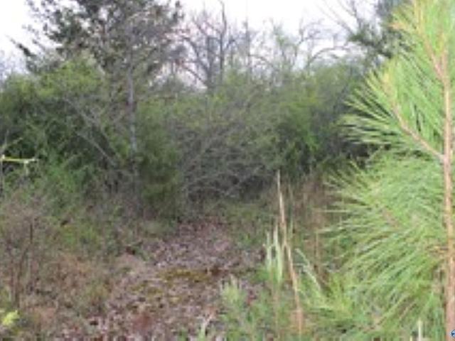 Land for sale in Cedar Bluff, Alabama