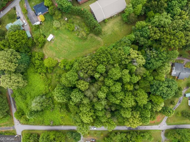 Land for sale in Mineral Bluff, Georgia