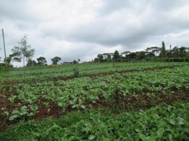 Land for sale in Kabete