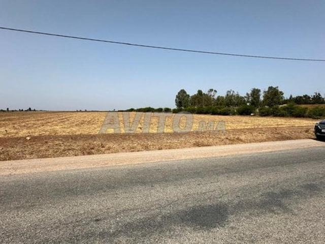 Propriété vente à Slimane, Gharb-Chrarda-Beni Hssen