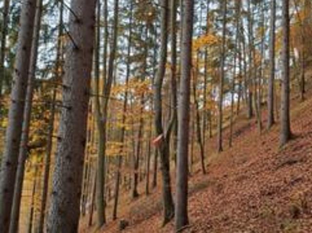 Grundstück kaufen in Semriach, Steiermark
