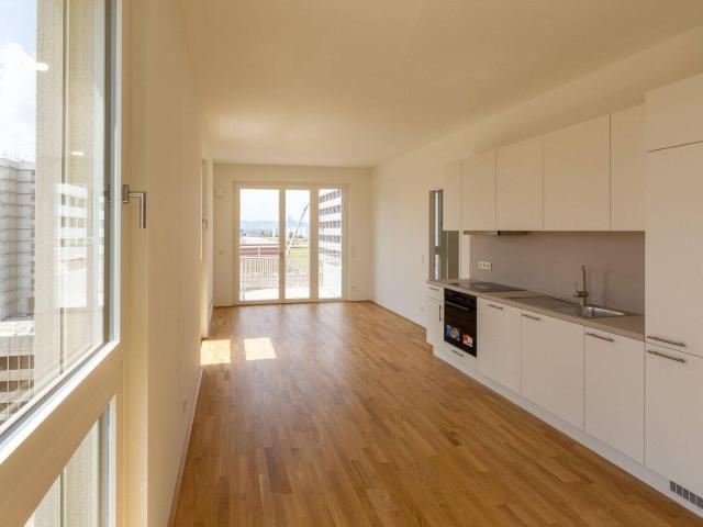 Apartment mieten in Donaustadt, Wien