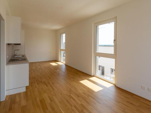 Wohnung mieten in Donaustadt, Wien