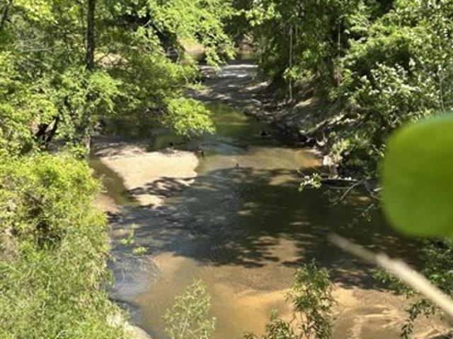 Land for sale in Monticello, Mississippi