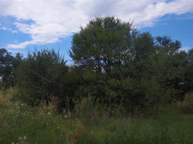 Farm for sale in Lejweleputswa, Free State