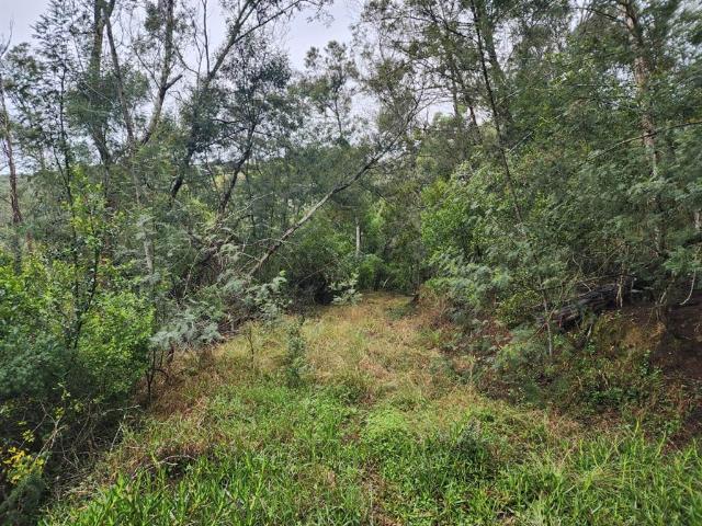 Land for sale in Groot Brak Rivier, Western Cape