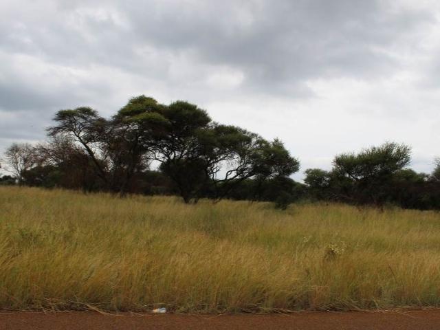 Land for sale in Limpopo
