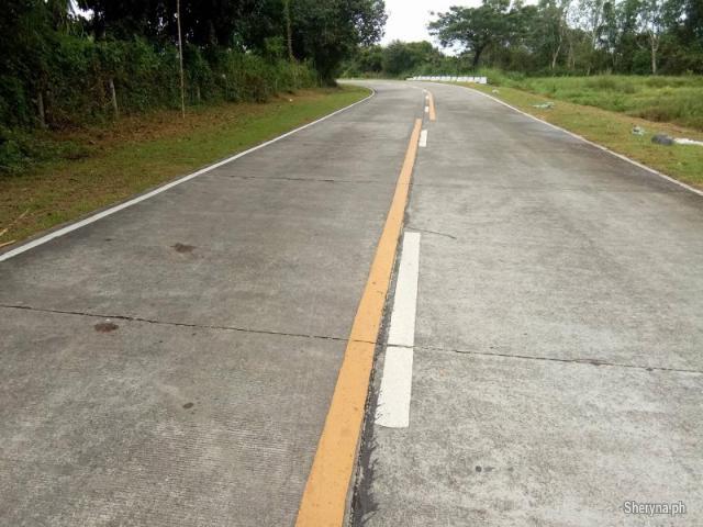 3. 2 hec San Jose, Tarlac NEAR CLARK GREEN CITY and Monasterio