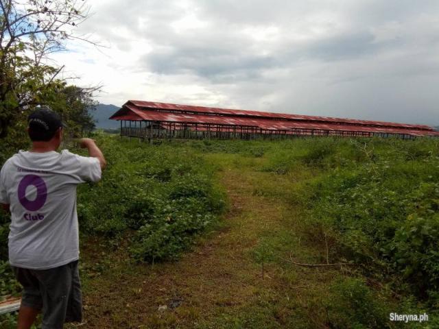 3. 2 hec San Jose, Tarlac NEAR CLARK GREEN CITY and Monasterio