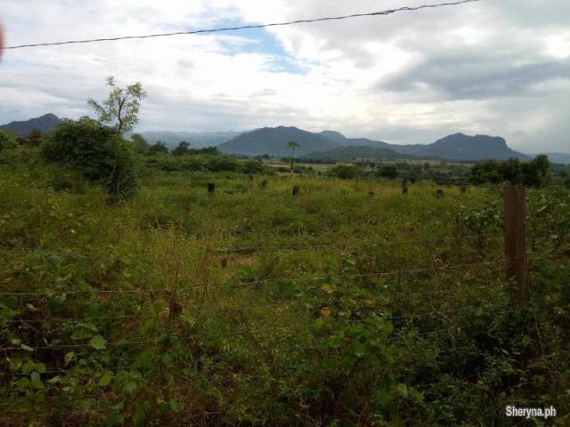 3. 2 hec San Jose, Tarlac NEAR CLARK GREEN CITY and Monasterio