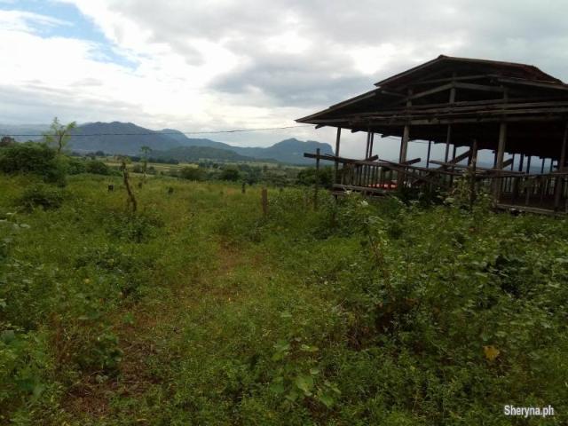 3. 2 hec San Jose, Tarlac NEAR CLARK GREEN CITY and Monasterio