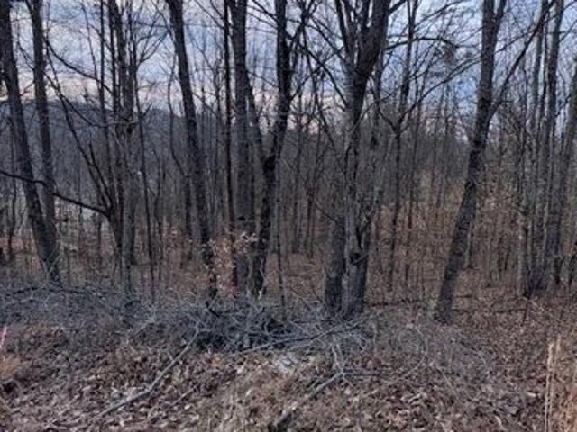 Land for sale in Williamsburg, Kentucky