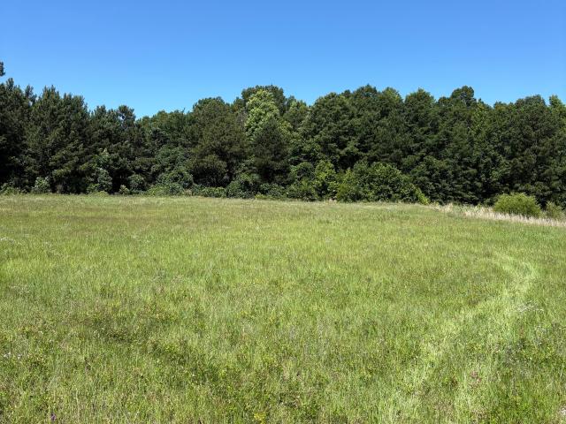 Land for sale in Sandersville, Georgia