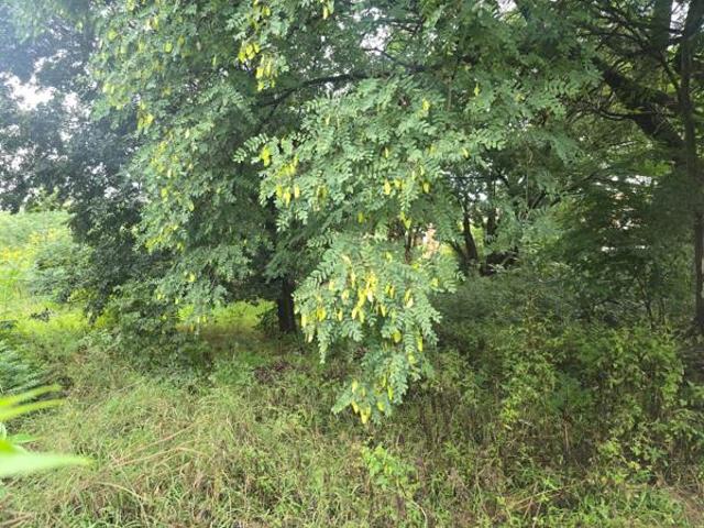 Property for sale in Ehlanzeni, Mpumalanga