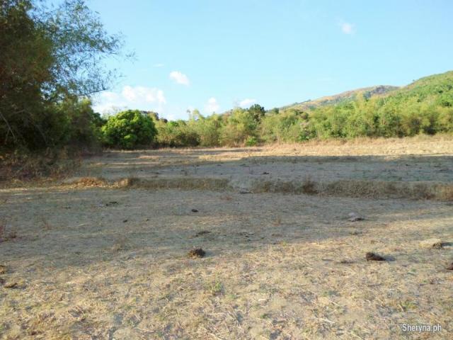 3. 35Ha. Riceland & Upland Farm near the Beach Botolan, Zambales