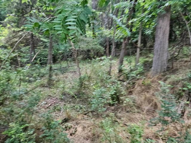 Land for sale in Virginia