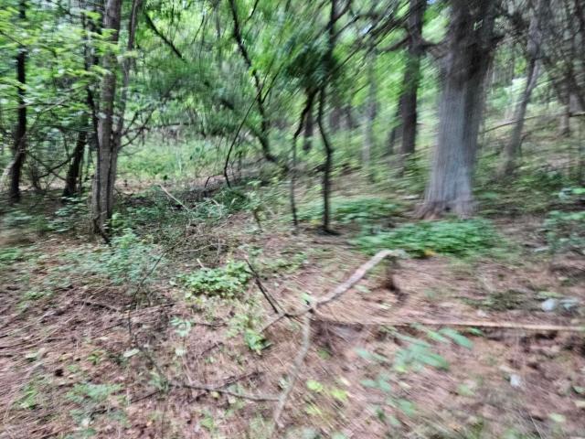 Land for sale in Virginia