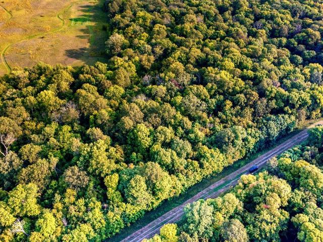 Land for sale in Dent, Minnesota