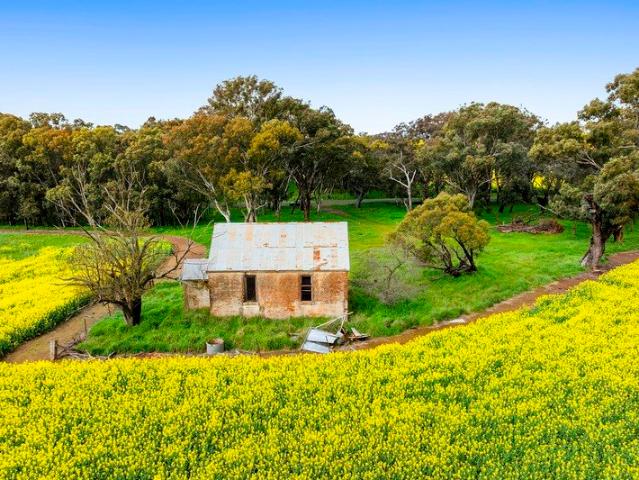 House for sale in Browns Corner, Cootamundra