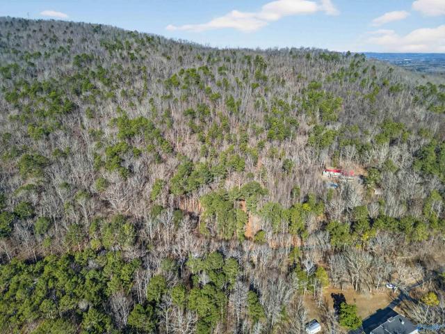 Land for sale in Etowah, Alabama