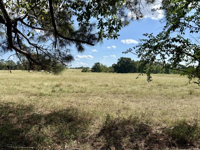 Land for sale in Samson, Coffee County