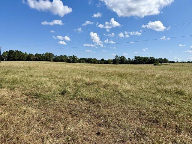 Land for sale in Geneva, Alabama