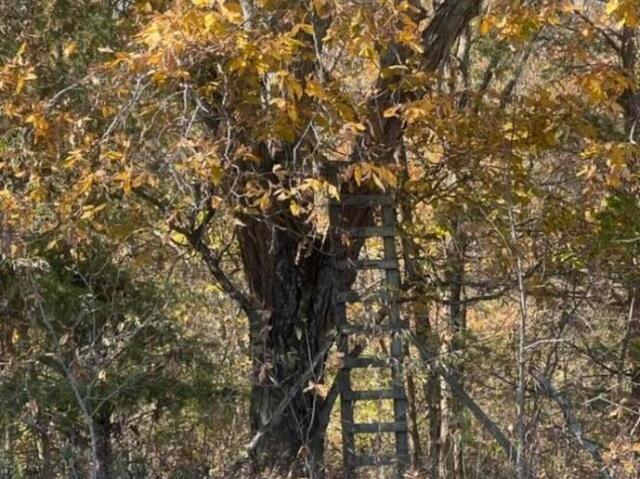 Land for sale in Kentucky
