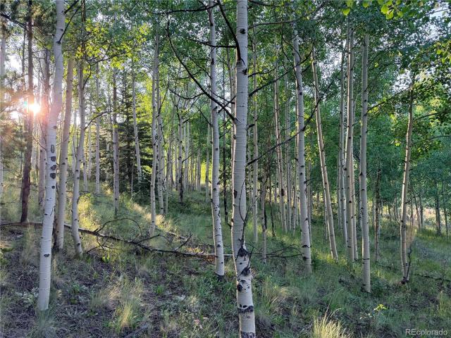 Land for sale in Antonito, Conejos County