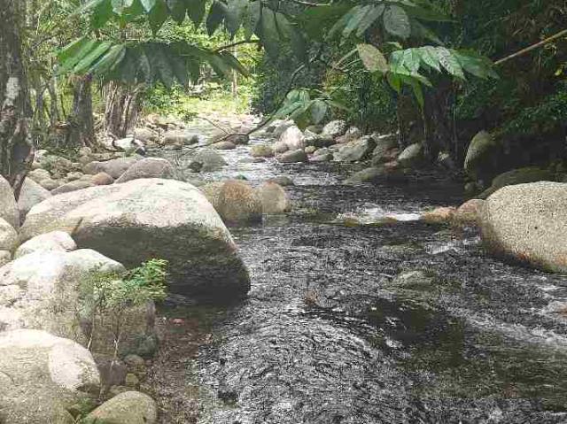 Property for sale in Perak, Tanjong Malim