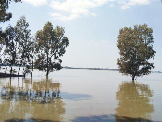 Land for sale in Gauteng
