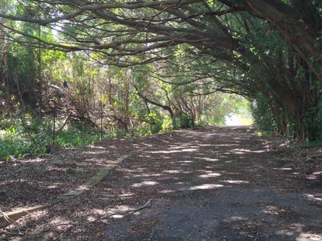 Property for sale in Margate, Hibiscus Coast Local Municipality