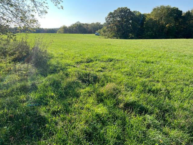 Land for sale in Illinois