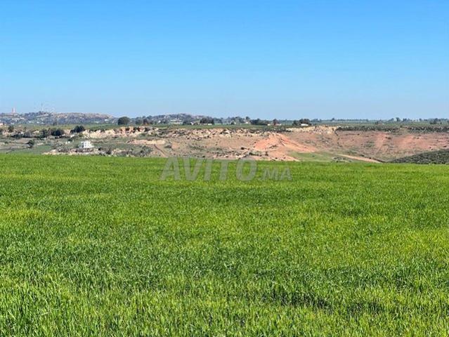 Propriété vente à Slimane, Gharb-Chrarda-Beni Hssen