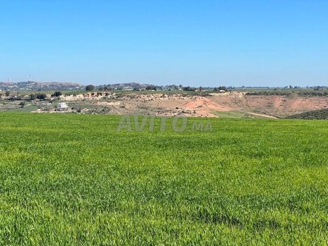 Propriété vente à Slimane, Gharb-Chrarda-Beni Hssen