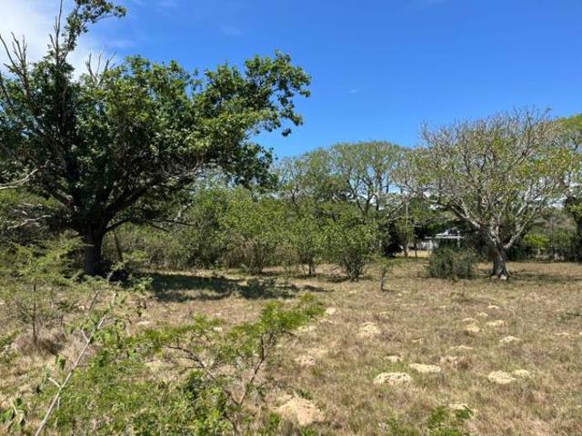 Property for sale in Bushmans River Mouth, Eastern Cape