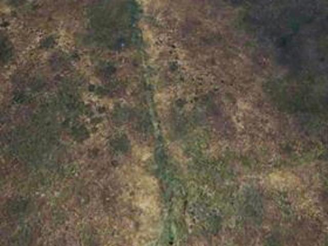 Property for sale in Oranjeville, Free State