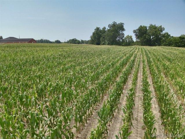 Land for sale in Pansey, Alabama