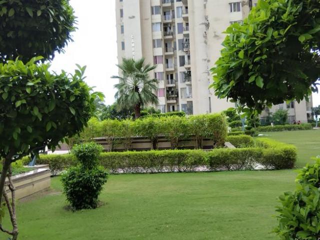 Flat for rent in Greater Noida - Delhi, Arunachal Pradesh