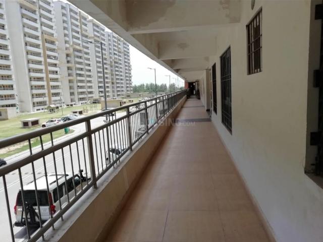 House for rent in Punjab