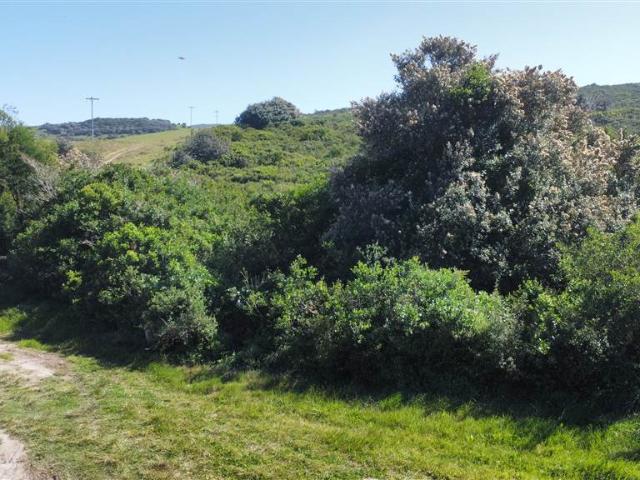 Land for sale in Bushmans River Mouth, Eastern Cape