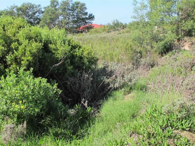 Land for sale in Cape St Francis, Eastern Cape