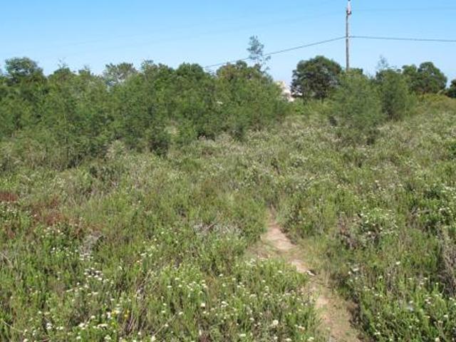 Land for sale in Cape St Francis, Eastern Cape