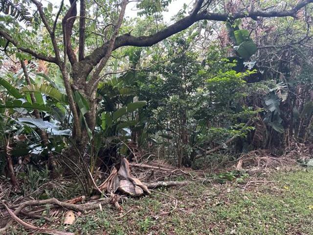 Land for sale in Ugu District Municipality, Kwazulu-natal
