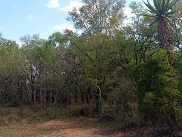 Land for sale in Limpopo