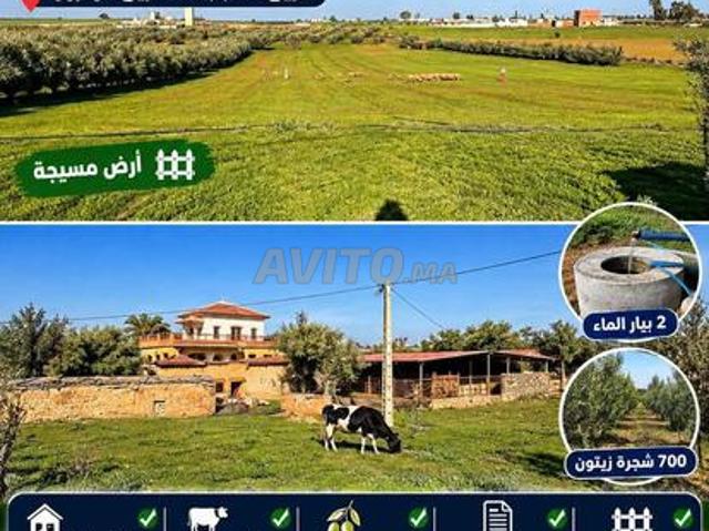 Propriété vente à Meknès