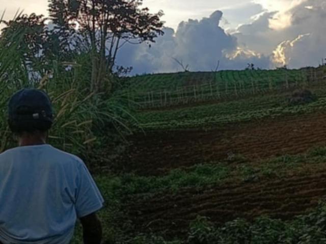 Farm for sale in Lantapan