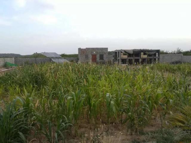 Land for sale in Dhadhumber, راولپنڈی ڈویژن