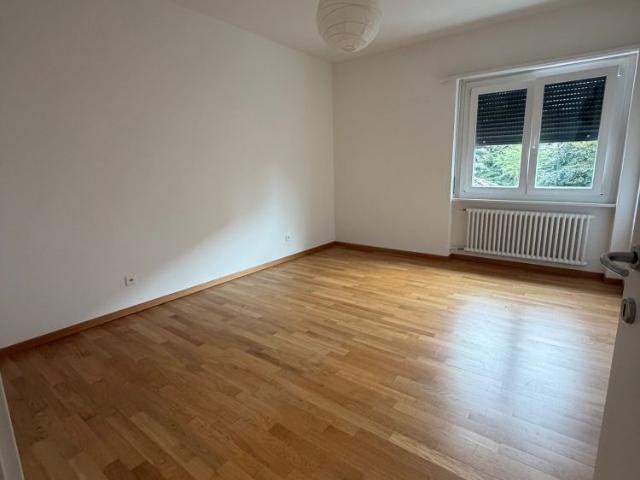 Apartment mieten in Salorino, Mendrisio